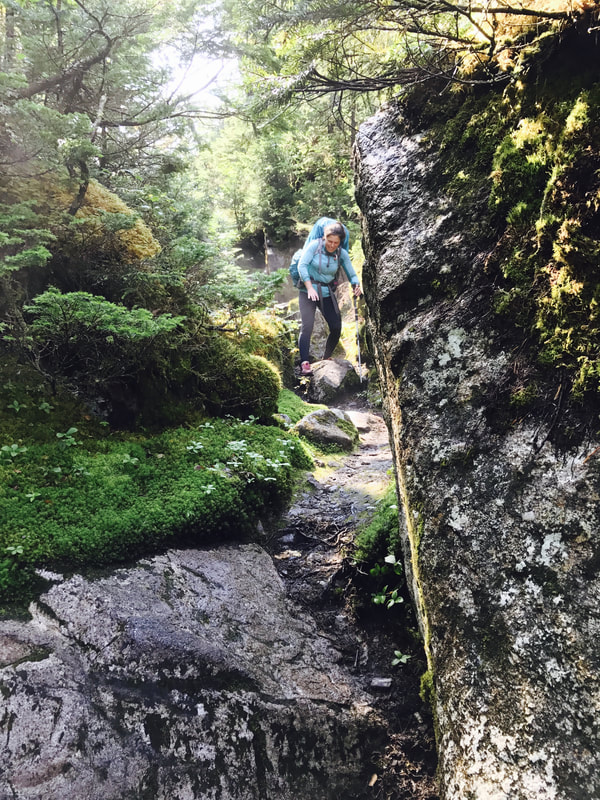 The Mahoosucs Part II - Goose Eye, Mahoosuc Notch, and Mahoosuc Arm (Speck Pond Shelter): Day 122