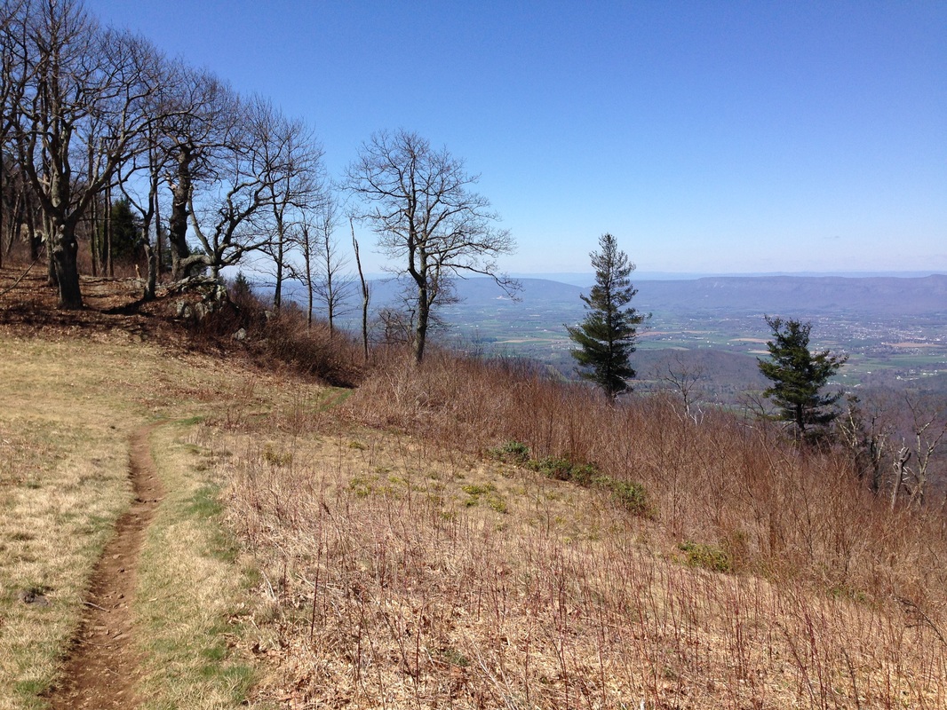 Into the Shenandoahs