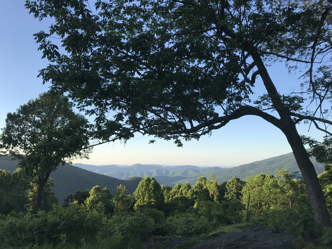 Maupin Fields Shelter to Waynesboro: Days 70-72