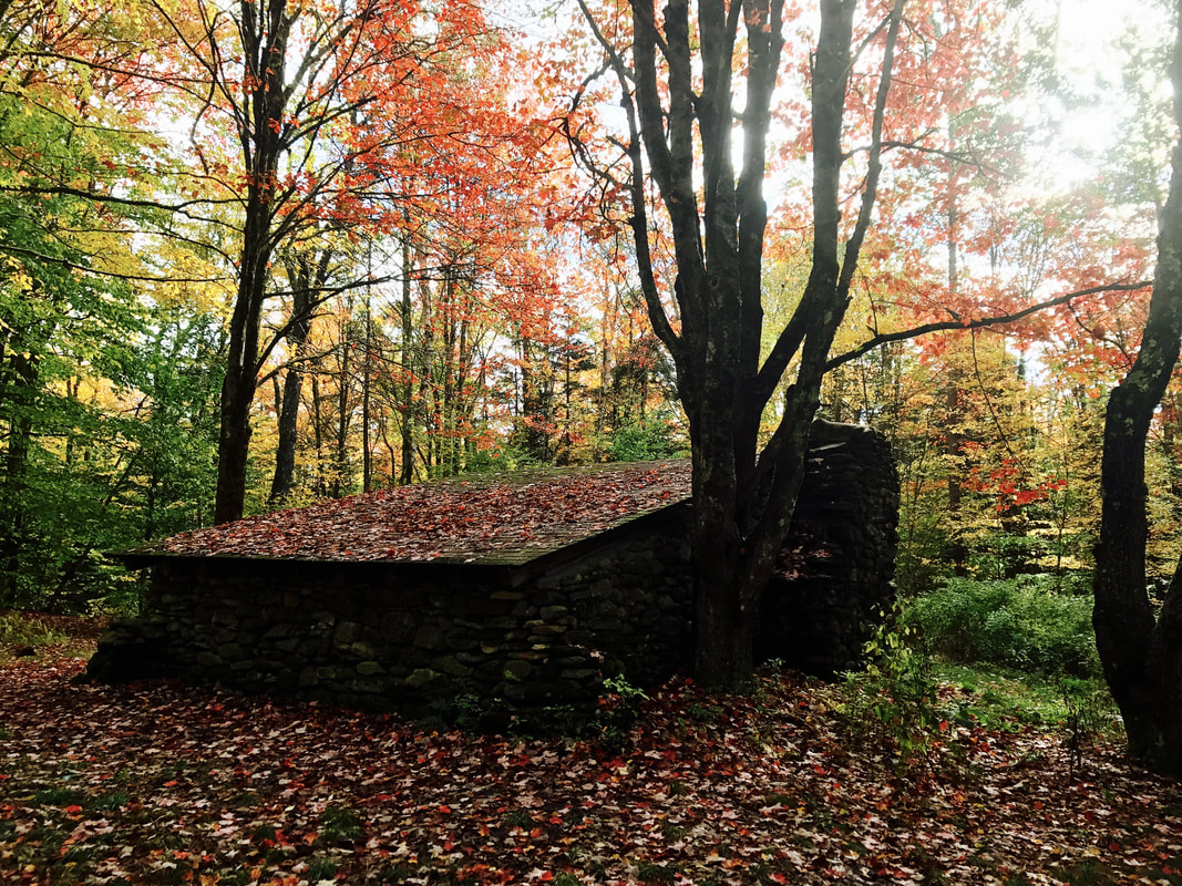 Vermont Part I (Thistle Hill Shelter to Greenwall Shelter): Days 152-159