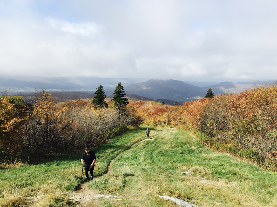 Vermont Part II (Peru Peak Shelter to Sherman Brook Campsite): Days 160-165